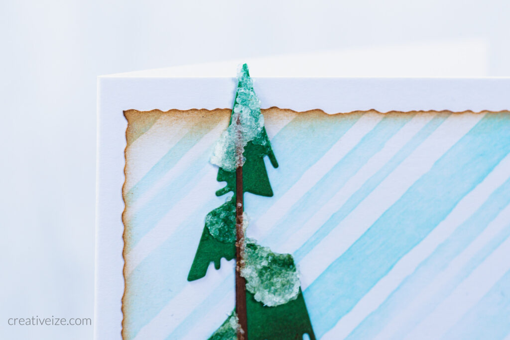 Detail Tree covered in grit paste snowfall